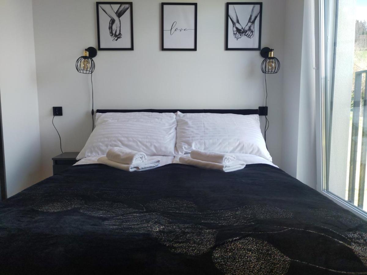 Apartament Zuza W Wisle فيسلا المظهر الخارجي الصورة